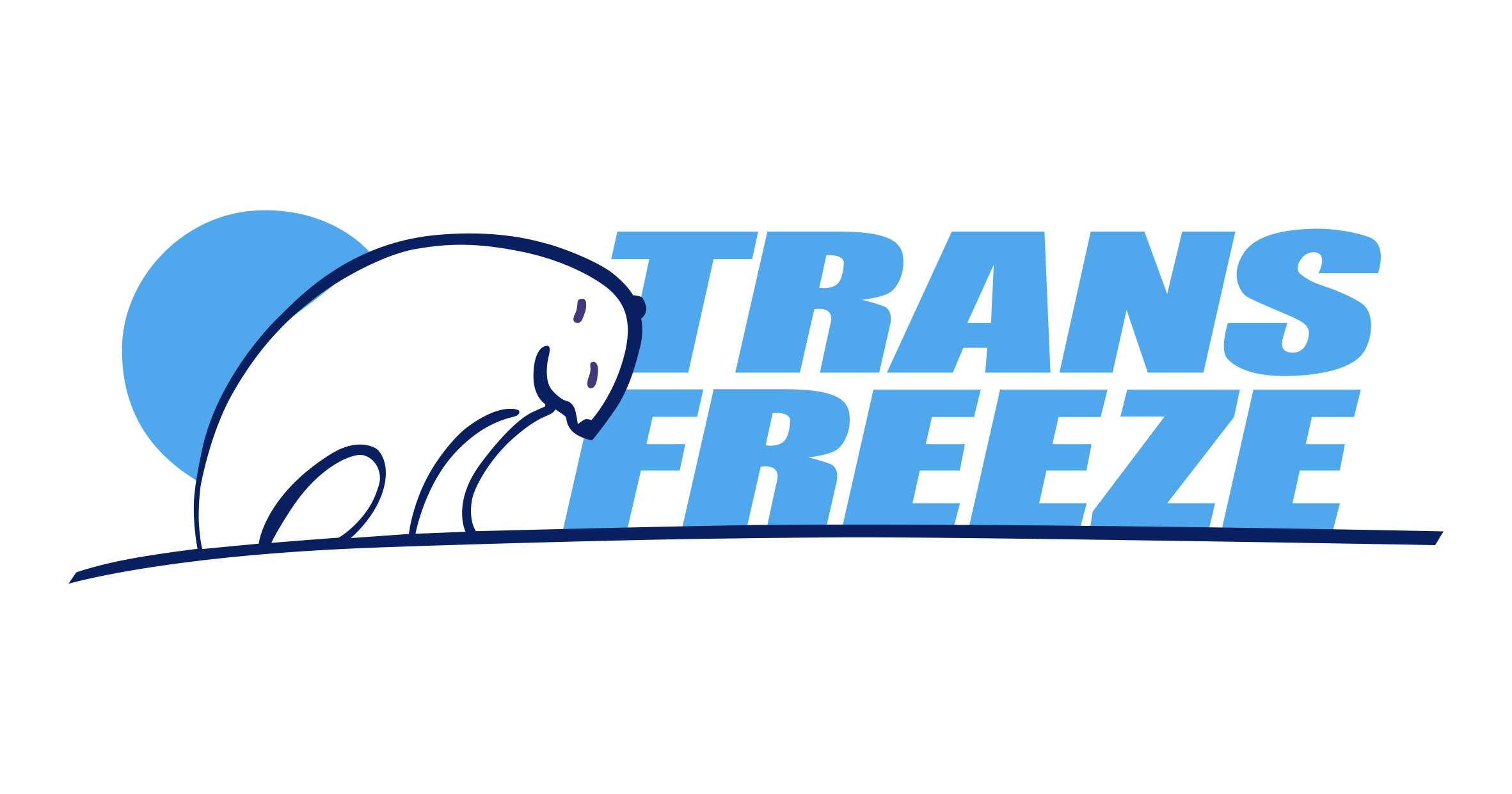 Logo Transfreeze